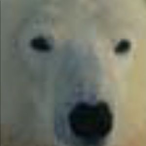 Meet your Posher, Brendan